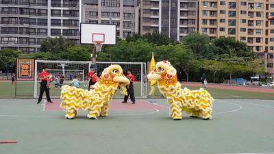 Snapshot21圖片