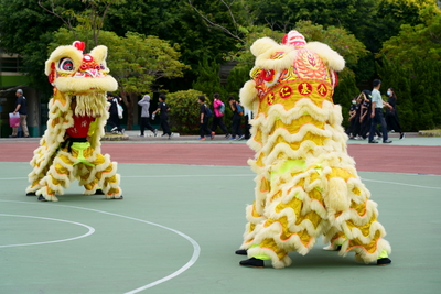 DSC00281