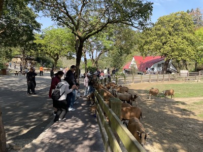 S__288284714_0圖片